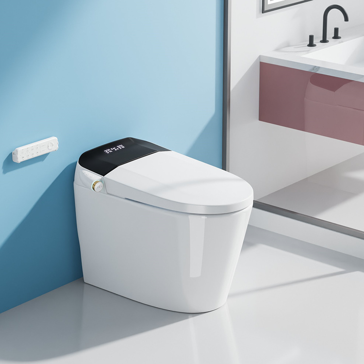 Home And Bathroom - مرحاض ذكي للحمام مع نظام شطف