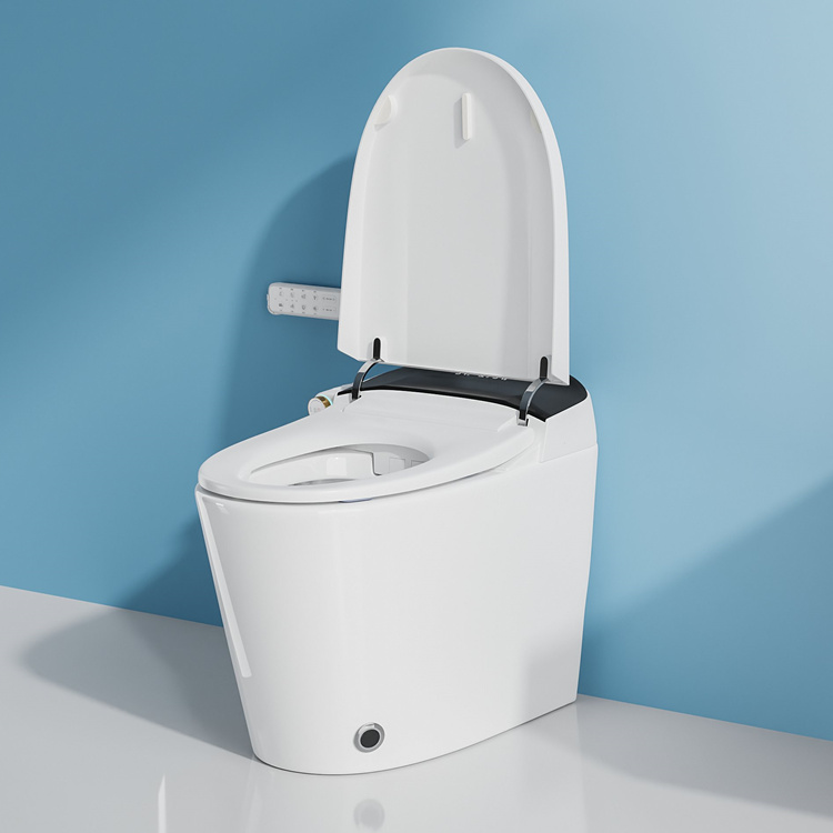 مرحاض ذكي للحمام مع نظام شطف ت - مراجعة Home And Bathroom وسعره